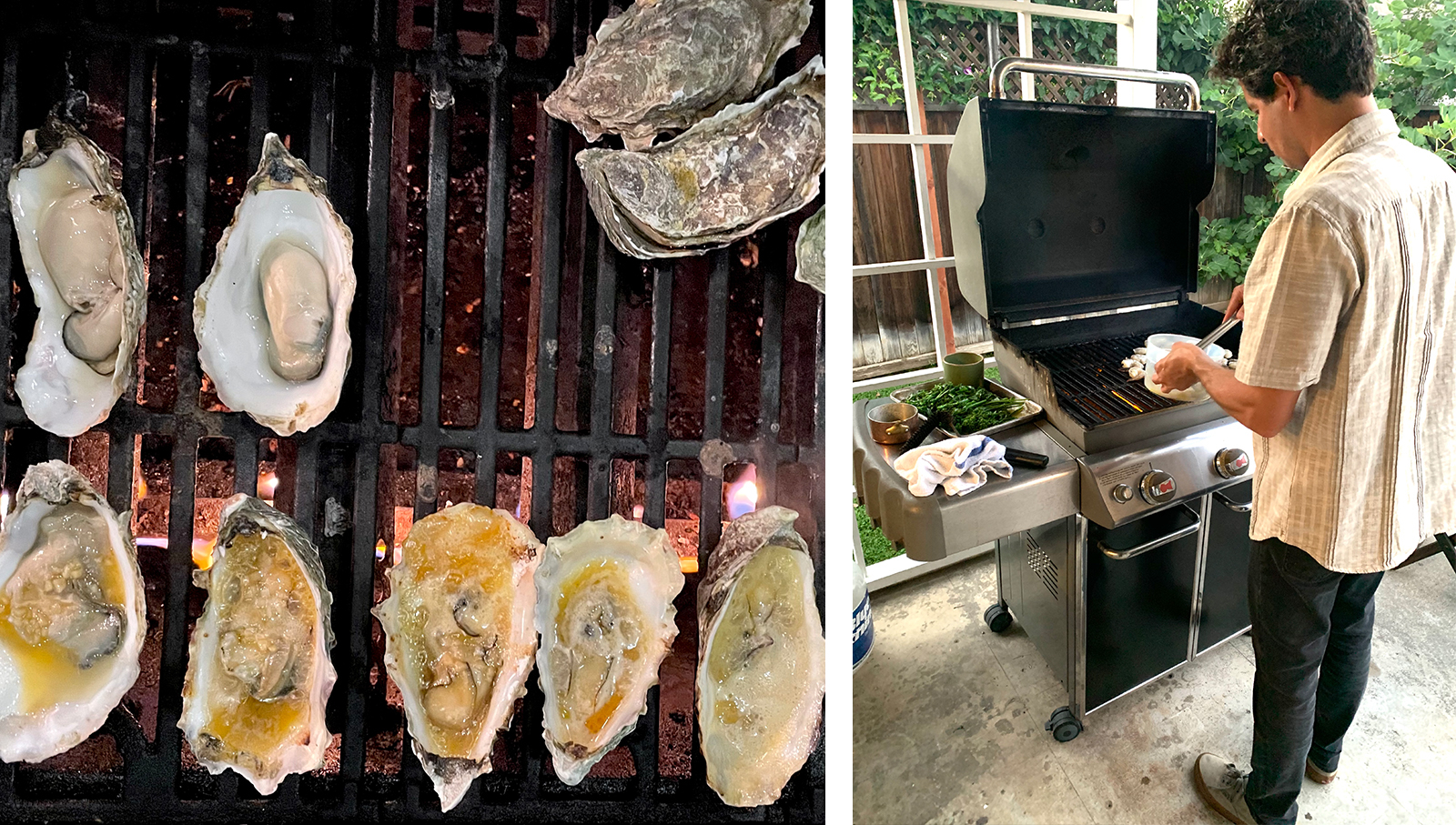 Man cooking at grill and oysters on the grill